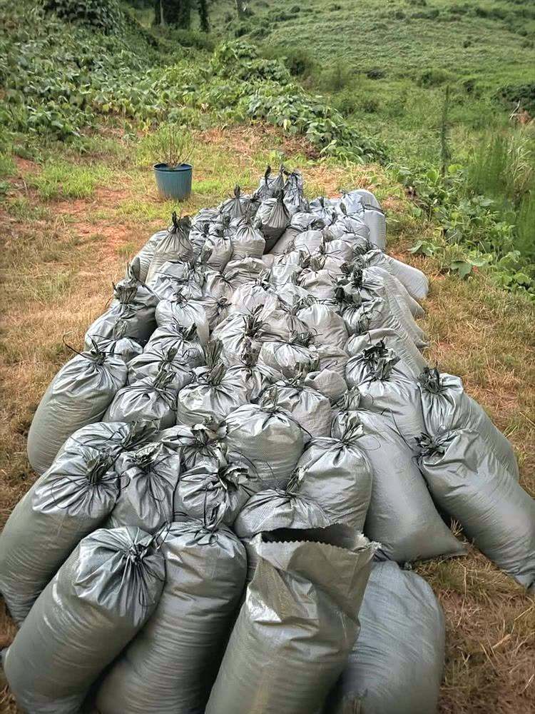 Dozens of tied bags of yard debris lined up across a lawn, ready to be hauled off